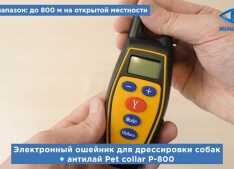 Электронный ошейник для дрессировки собак + антилай Pet collar P-800